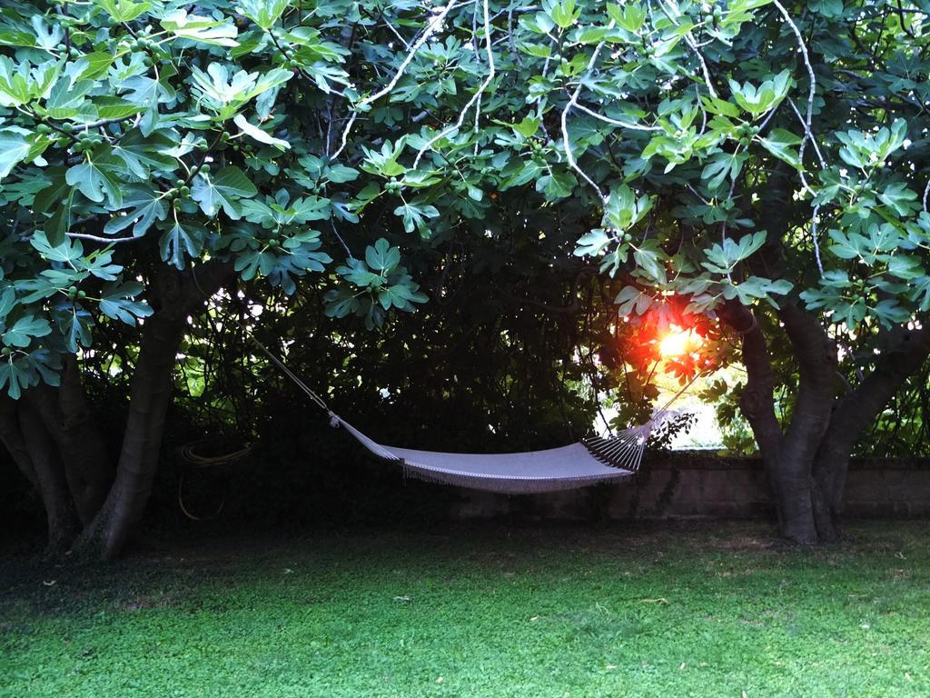 Agriturismo Locanda Pantanello Pitigliano Eksteriør bilde