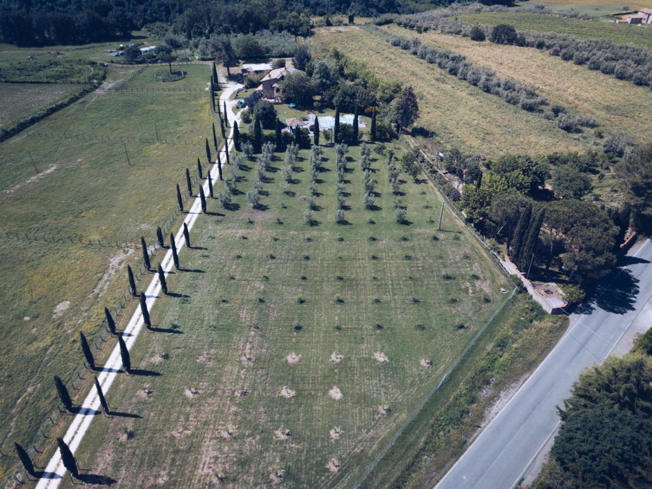 Agriturismo Locanda Pantanello Pitigliano Eksteriør bilde